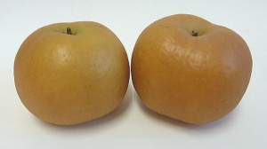 日本梨(長十郎)
